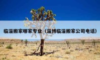 臨淄搬家哪家專業(yè)（淄博臨淄搬家公司電話）