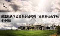 搬家枕頭下邊放多少錢呢?。ò嵝录艺眍^下放多少錢）