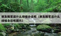 朋友搬家送什么綠植合適呢（朋友搬家送什么綠植合適呢圖片）