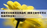 搬家可以先搬清潔用品嗎（搬家之前可不可以先去打掃衛(wèi)生）