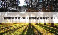 淄博搬家物流公司（淄博市正規(guī)搬家公司）