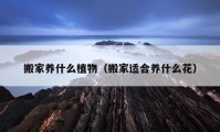 搬家養(yǎng)什么植物（搬家適合養(yǎng)什么花）