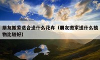 朋友搬家適合送什么花卉（朋友搬家送什么植物比較好）