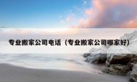 專業(yè)搬家公司電話（專業(yè)搬家公司哪家好）