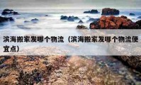 濱海搬家發(fā)哪個(gè)物流（濱海搬家發(fā)哪個(gè)物流便宜點(diǎn)）