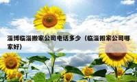 淄博臨淄搬家公司電話(huà)多少（臨淄搬家公司哪家好）