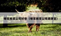 哪家搬家公司好些（哪家搬家公司更便宜）