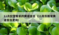 11月份宜搬家的黃道吉日（11月份搬家黃道吉日查詢）