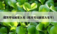 臘月可以搬家入宅（臘月可以搬家入宅不）