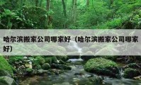 哈爾濱搬家公司哪家好（哈爾濱搬家公司哪家好）