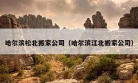 哈爾濱松北搬家公司（哈爾濱江北搬家公司）