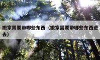 搬家需要帶哪些東西（搬家需要帶哪些東西進去）