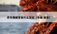 懷孕期搬家有什么禁忌（孕期 搬家）