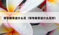 領(lǐng)導(dǎo)搬家送什么花（領(lǐng)導(dǎo)搬家送什么花好）