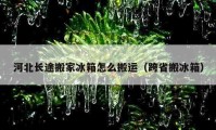 河北長途搬家冰箱怎么搬運(yùn)（跨省搬冰箱）