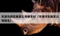 天津河西區(qū)搬家公司哪家好（天津河?xùn)|搬家公司排名）