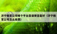 濟(jì)寧搬家公司哪個(gè)平臺(tái)靠譜便宜最好（濟(jì)寧搬家公司怎么收費(fèi)）