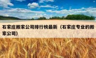 石家莊搬家公司排行榜最新（石家莊專業(yè)的搬家公司）