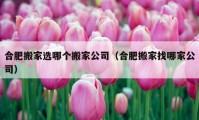 合肥搬家選哪個搬家公司（合肥搬家找哪家公司）