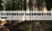 哈爾濱雙城搬家公司（哈爾濱跨城搬家公司有哪些）