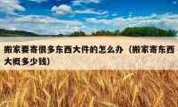 搬家要寄很多東西大件的怎么辦（搬家寄東西大概多少錢）