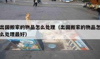 出國(guó)搬家的物品怎么處理（出國(guó)搬家的物品怎么處理最好）