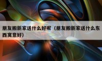 朋友搬新家送什么好呢（朋友搬新家送什么東西寓意好）