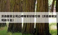 濟(jì)南搬家公司口碑哪家好排行榜（濟(jì)南搬家公司前十名）