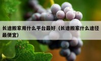 長途搬家用什么平臺最好（長途搬家什么途徑最便宜）