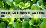 搬新家前一天晚上（搬新家前一天晚上要睡新家嗎）