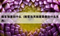 搬家鍋里放什么（搬家當天鍋里需要放什么東西）