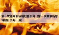 第一次搬家新冰箱放什么好（第一次搬家新冰箱放什么好一點）