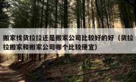 搬家找貨拉拉還是搬家公司比較好的好（貨拉拉搬家和搬家公司哪個(gè)比較便宜）