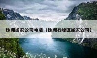 株洲搬家公司電話（株洲石峰區(qū)搬家公司）