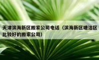 天津濱海新區(qū)搬家公司電話（濱海新區(qū)塘沽區(qū)比較好的搬家公司）