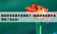 搬家好多東西不舍得丟了（搬家好多東西不舍得丟了怎么辦）