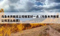 烏魯木齊搬家公司哪家好一點（烏魯木齊搬家公司怎么收費）