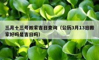 三月十三號搬家吉日查詢（公歷3月13日搬家好嗎是吉日嗎）