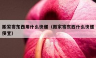 搬家寄東西用什么快遞（搬家寄東西什么快遞便宜）