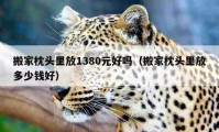 搬家枕頭里放1380元好嗎（搬家枕頭里放多少錢好）