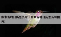 搬家吉時(shí)日歷怎么寫（搬家吉時(shí)日歷怎么寫圖片）