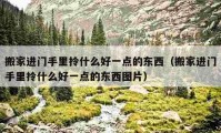 搬家進門手里拎什么好一點的東西（搬家進門手里拎什么好一點的東西圖片）