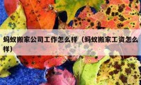 螞蟻搬家公司工作怎么樣（螞蟻搬家工資怎么樣）