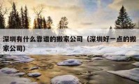 深圳有什么靠譜的搬家公司（深圳好一點的搬家公司）