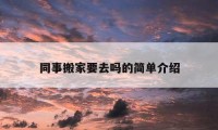 同事搬家要去嗎的簡單介紹