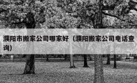 濮陽市搬家公司哪家好（濮陽搬家公司電話查詢）