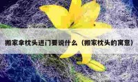 搬家拿枕頭進(jìn)門要說什么（搬家枕頭的寓意）