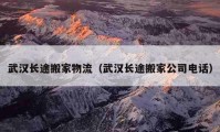 武漢長途搬家物流（武漢長途搬家公司電話）