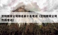 沈陽(yáng)搬家公司排名前十名電話（沈陽(yáng)搬家公司熱線電話）