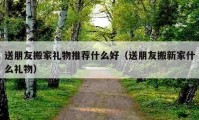 送朋友搬家禮物推薦什么好（送朋友搬新家什么禮物）